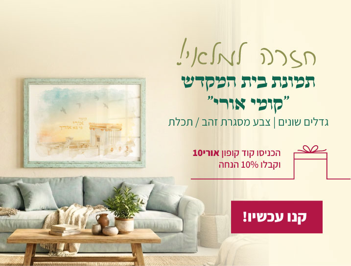 התמונה חזרה למלאי קנו עכשיו