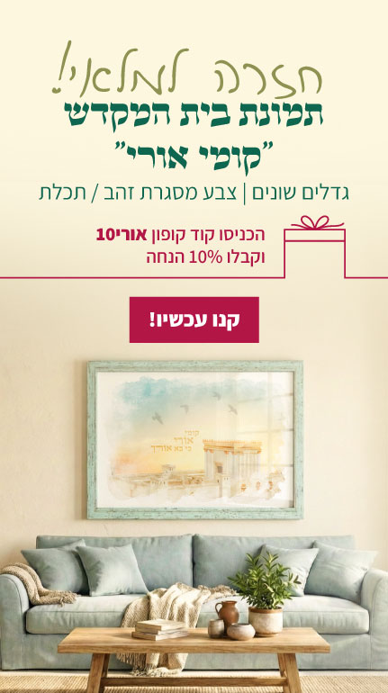 התמונה חזרה למלאי קנו עכשיו