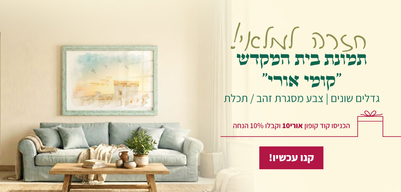 התמונה חזרה למלאי קנו עכשיו